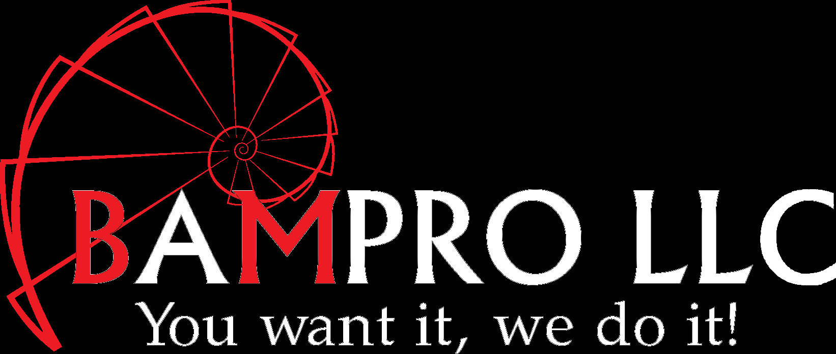 BAMPRO LLC